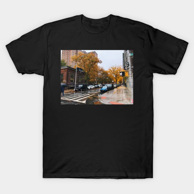 Beautiful Brooklyn Autumn Day T-Shirt by offdutyplaces